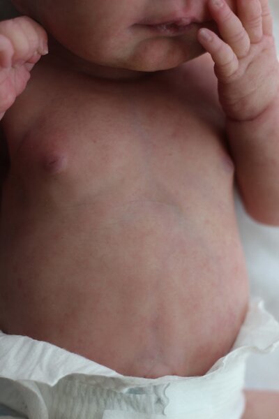 Realistic Reborn Doll Vinicius Boy 12" 16" 20" 30" Inches + Premium Pack