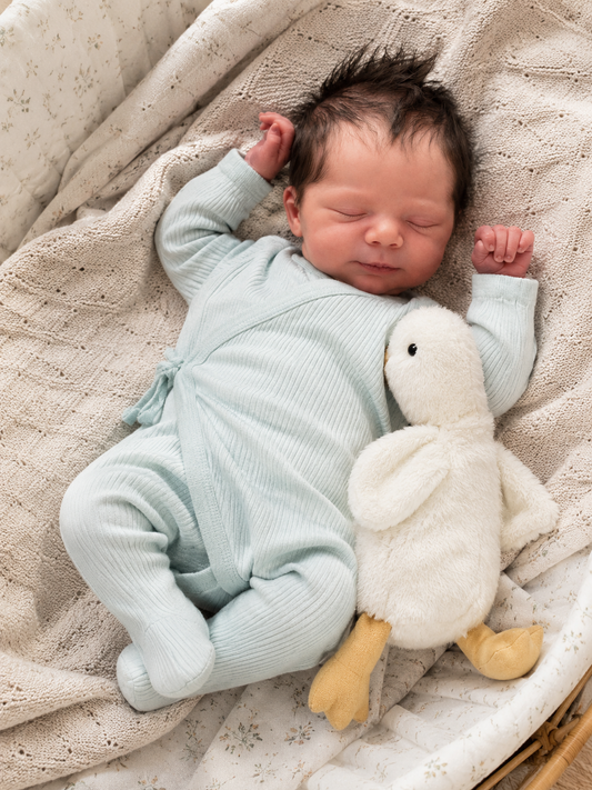 Realistic Reborn Doll Bruno  Boy 12" 16" 20" 30" Inches + Premium Pack