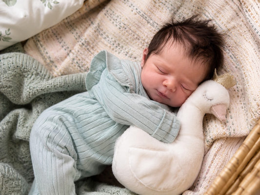 Realistic Reborn Doll Bruno  Boy 12" 16" 20" 30" Inches + Premium Pack